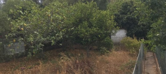 3 غرف نوم بناية في Sao Bartolomeu de Messines, Portugal رقم 281178 8