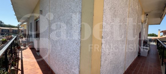 2 bedrooms Apartment in Ciampino, Italy No. 293925 12