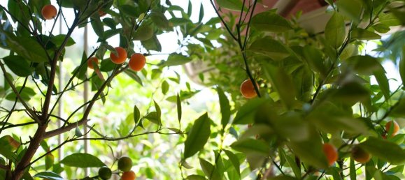 10 bedrooms Apartment in Rome, Italy No. 357017 36