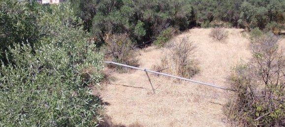 6غرفة منزل في Scanzano Jonico, Italy رقم 270386 6