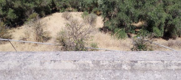 6غرفة منزل في Scanzano Jonico, Italy رقم 270386 16