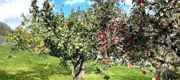 Terreno en Rechnitz, Austria No. 207851 9