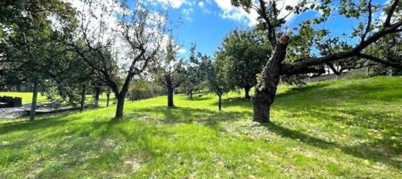 Terreno en Rechnitz, Austria No. 207851 10