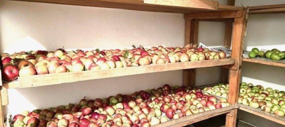 Terreno en Rechnitz, Austria No. 207851 45