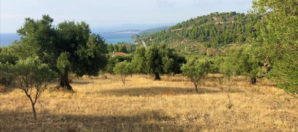 4078m² Hotel in Chalkidiki, Greece No. 4038 2