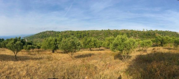  فندق في Chalkidiki, Greece 4078متر مربع رقم 4038 4