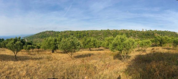 4078m² Hotel in Chalkidiki, Greece No. 4038 4