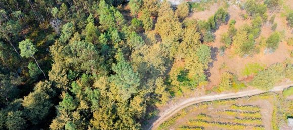 Дом с 3 спальнями в Бику, Португалия № 180217 9