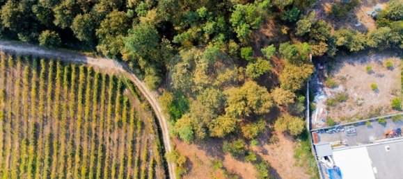 Дом с 3 спальнями в Бику, Португалия № 180217 7