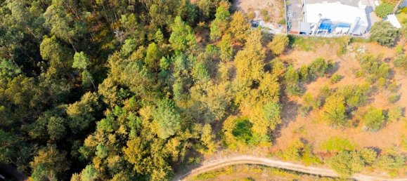 Дом с 3 спальнями в Бику, Португалия № 180217 8