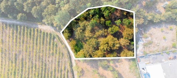 Дом с 3 спальнями в Бику, Португалия № 180217 2