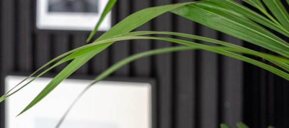 4 غرف نوم بانتهاوس في Fuengirola, Spain رقم 178001 6