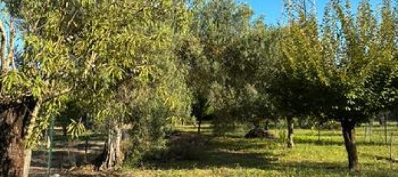 Grundstück in Sardinia, Italy 2800m², Nr. 281326 4