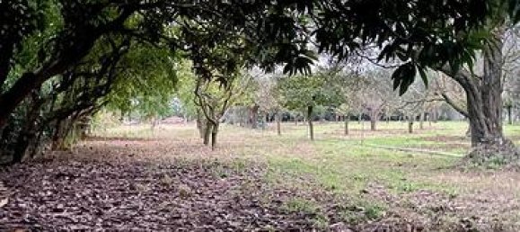 Grundstück in Sardinia, Italy 2800m², Nr. 281326 3