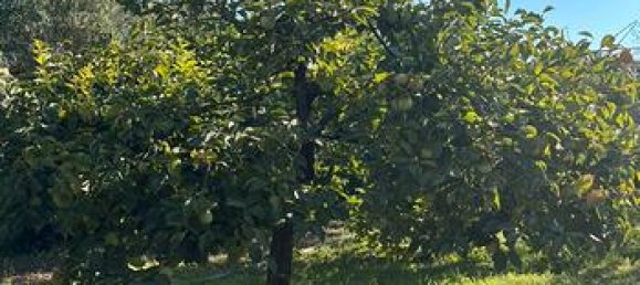 Grundstück in Sardinia, Italy 2800m², Nr. 281326 2