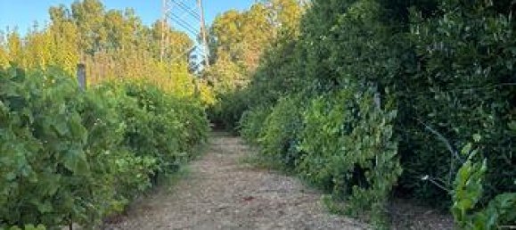 Grundstück in Sardinia, Italy 2800m², Nr. 281326 5