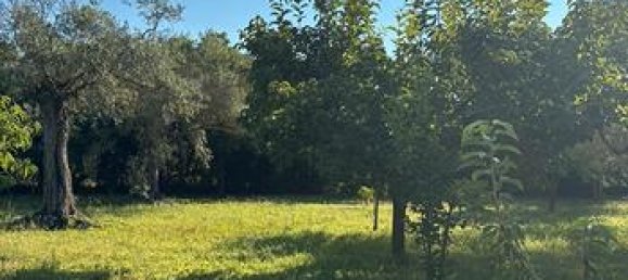 Grundstück in Sardinia, Italy 2800m², Nr. 281326 6