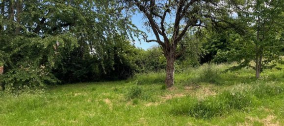 1704m² Land in Saint-Romain-au-Mont-d'Or, France No. 240521 8