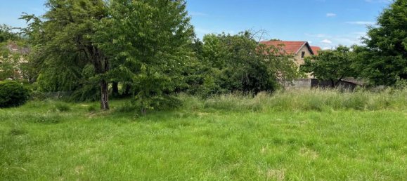 1704m² Land in Saint-Romain-au-Mont-d'Or, France No. 240521 6