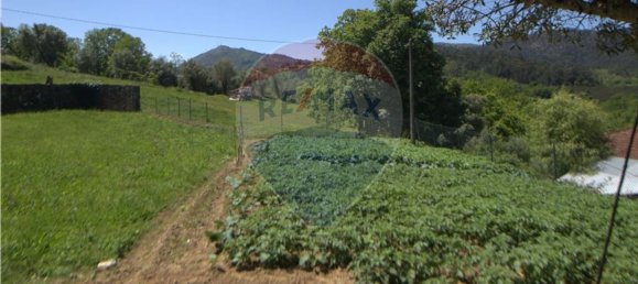 Grundstück in Cabeceiras de Basto, Portugal 2000m², Nr. 36073 5