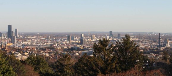 3 chambres Penthouse à Dobling, Austria No. 144430 19