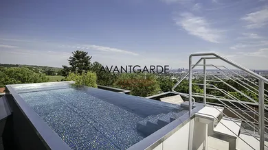 3 chambres Penthouse à Dobling, Austria No. 144430