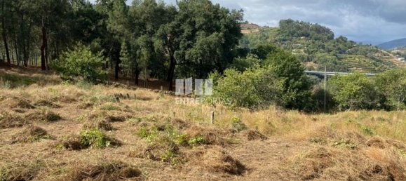 4200m² Land in Baiao, Portugal No. 50093 18