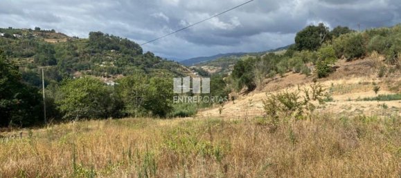 4200m² Land in Baiao, Portugal No. 50093 24