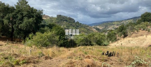 4200m² Land in Baiao, Portugal No. 50093 21