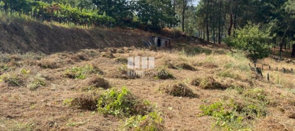 4200m² Land in Baiao, Portugal No. 50093 5