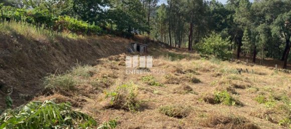 4200m² Land in Baiao, Portugal No. 50093 17