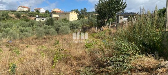 4200m² Land in Baiao, Portugal No. 50093 22