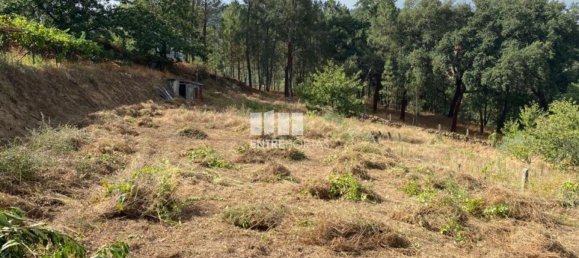 4200m² Land in Baiao, Portugal No. 50093 16