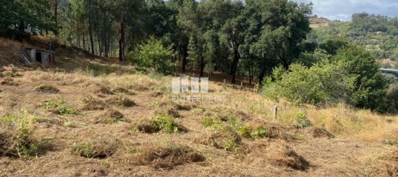 4200m² Land in Baiao, Portugal No. 50093 15