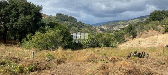 4200m² Land in Baiao, Portugal No. 50093 23