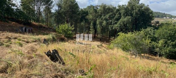 4200m² Land in Baiao, Portugal No. 50093 26