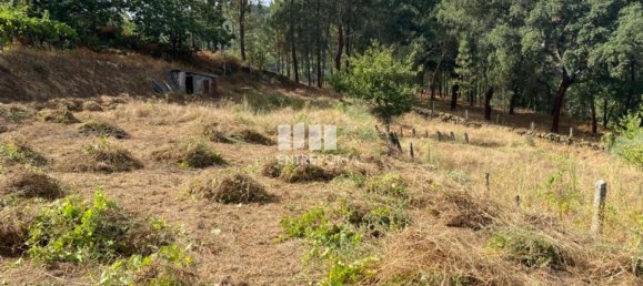 4200m² Land in Baiao, Portugal No. 50093 6