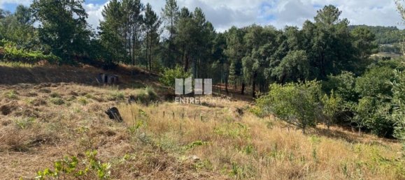 4200m² Land in Baiao, Portugal No. 50093 29