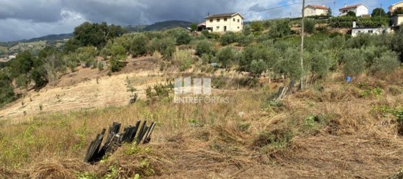 4200m² Land in Baiao, Portugal No. 50093 8