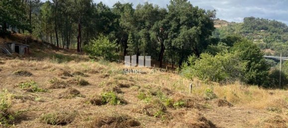 4200m² Land in Baiao, Portugal No. 50093 19