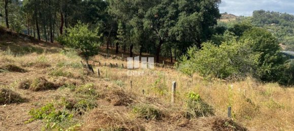 4200m² Land in Baiao, Portugal No. 50093 7