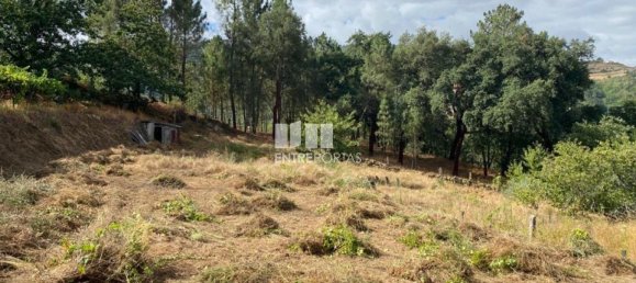4200m² Land in Baiao, Portugal No. 50093 20