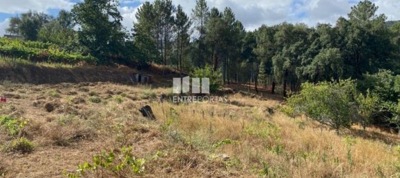 4200m² Land in Baiao, Portugal No. 50093 25