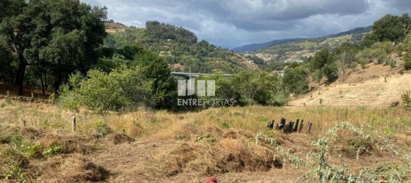 4200m² Land in Baiao, Portugal No. 50093 14