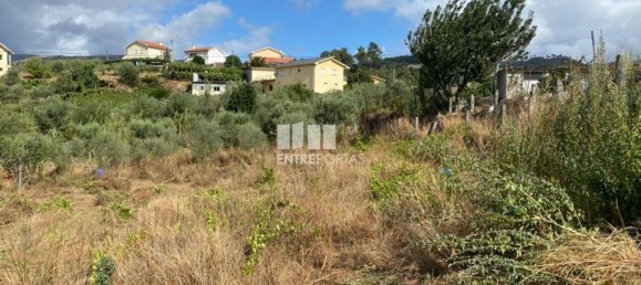 4200m² Land in Baiao, Portugal No. 50093 11
