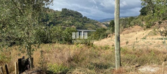 4200m² Land in Baiao, Portugal No. 50093 28