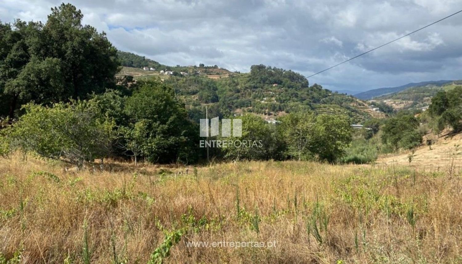 4200m² Land in Baiao, Portugal No. 50093