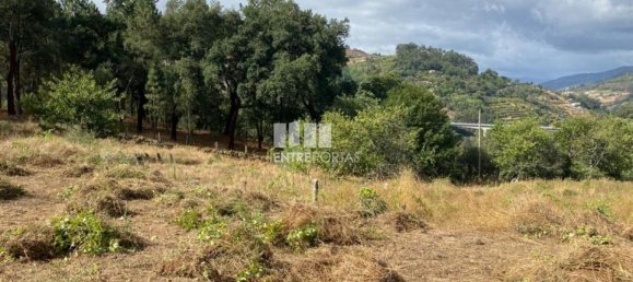 4200m² Land in Baiao, Portugal No. 50093 2