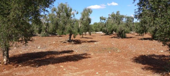Casa de 2 dormitorios en Ostuni, Italy No. 232102 35