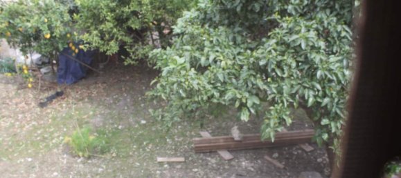 2 bedrooms House in Bivona, Italy No. 69555 10